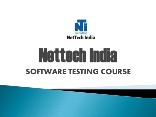 Software Testing