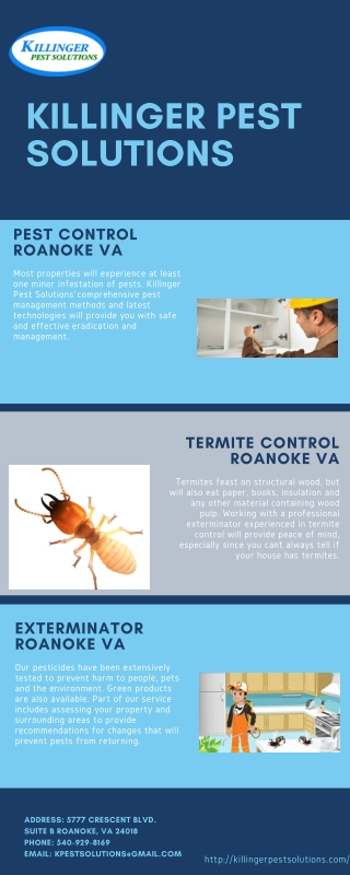 Pest Control Roanoke VA