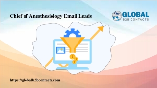 Chief of Anesthesiology Email Leads