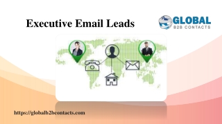 Executive Email Leads