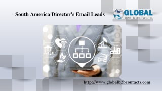 South America Director's Email Leads