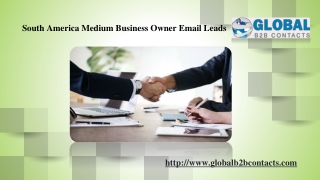 South America Medium Business Owner Email Leads