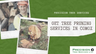 Get Tree Pruning Services In Comox