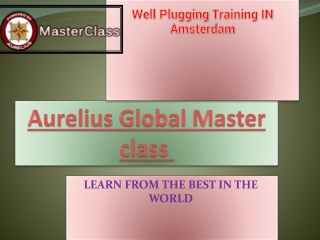 WELL PLUGGING TRAINING IN Amsterdam