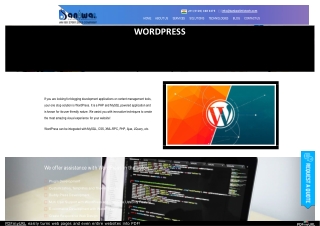 Best WordPress Services Provider Company | Baniwal Infotech