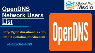 OpenDNS Network Users List