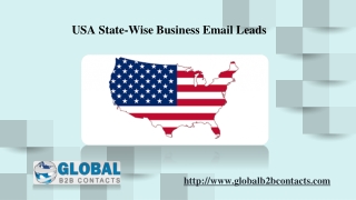 USA State-wise Business Email Leads