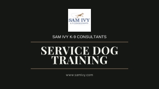 Service Dog Training