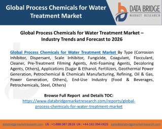 Global Process Chemicals for Water Treatment Market – Industry Trends and Forecast to 2026