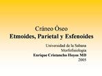 Cr neo seo Etmoides, Parietal y Esfenoides