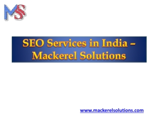 Get Ranked with the best SEO Service Company - Mackerel Solutions