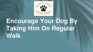 Encourage Your Dog By Taking Him On Regular Walk