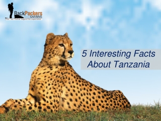 5 Interesting Facts About Tanzania