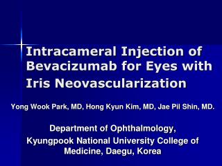 Intracameral Injection of Bevacizumab for Eyes with Iris Neovascularization