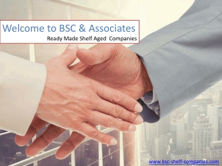 Welcome to BSC & Associates