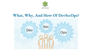 What, Why, And How Of DevSecOps?