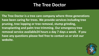 Tree Expert Services in Sydney | The Tree Doctor