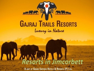 New Year packages 2020 in Jimcorbett