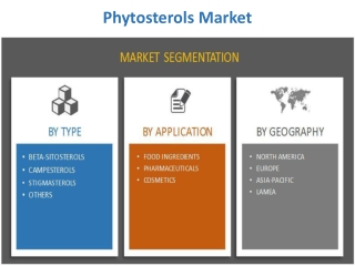 Phytosterols Market Challenges and New Trends