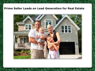 Prime Seller Leads on Lead Generation for Real Estate