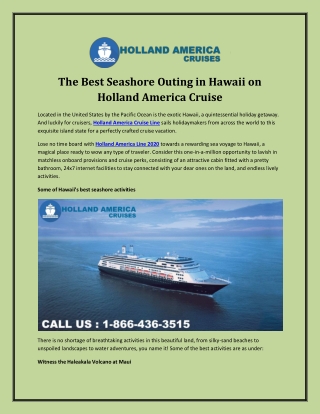 The Best Seashore Outing in Hawaii on Holland America Cruise