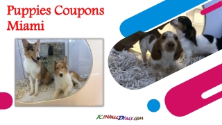 Puppies Coupons Miami