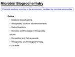 Microbial Biogeochemistry