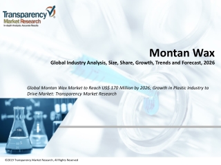 Montan Wax Market Volume Forecast and Value Chain Analysis 2026
