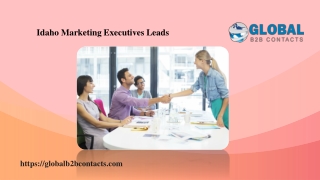 Idaho Marketing Executives Leads