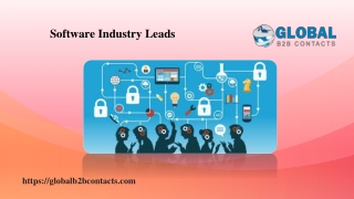 Software Industry Leads