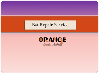 Bat Repair Service