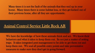 Animal Control Service Little Rock AR