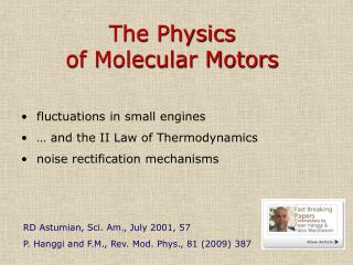 The Physics of Molecular Motors