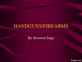 HANDGUNS/FIREARMS