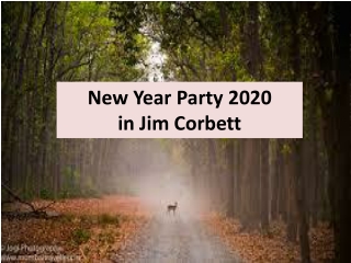 New Year Packages in Jim Corbett | New Year Party in Jim Corbett