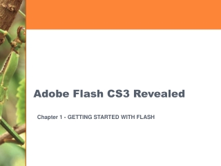 Adobe Flash CS3 Revealed