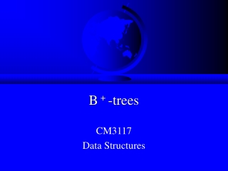 B + -trees