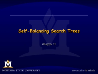 Self-Balancing Search Trees