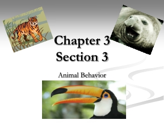 Chapter 3 Section 3