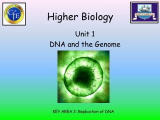 Higher Biology