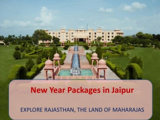Get the best New Year Packages in Jaipur