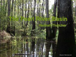 The Pearl River Basin