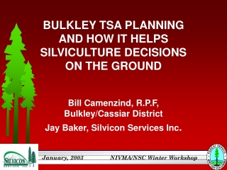 BULKLEY TSA PLANNING AND HOW IT HELPS SILVICULTURE DECISIONS ON THE GROUND