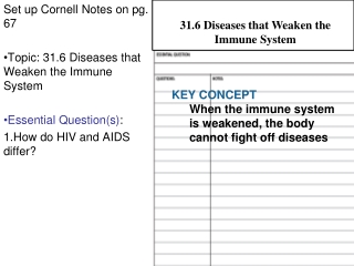 Set up Cornell Notes on pg. 67 Topic: 31.6 Diseases that Weaken the Immune System