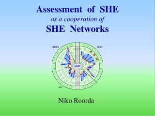 Assessment of SHE as a cooperation of SHE Networks