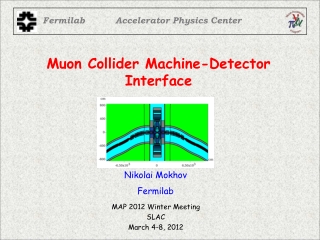 Muon Collider Machine-Detector Interface