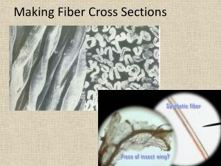 Making Fiber Cross Sections