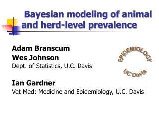 Bayesian modeling of animal and herd-level prevalence