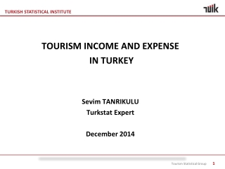 TOURISM INCOME AND EXPEN SE IN TURKEY Sevim TANRIKULU Turkstat Expert December 2014