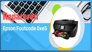 31-407440164 Epson Printer Foutcode 0xe5 | Hulp & Informatie